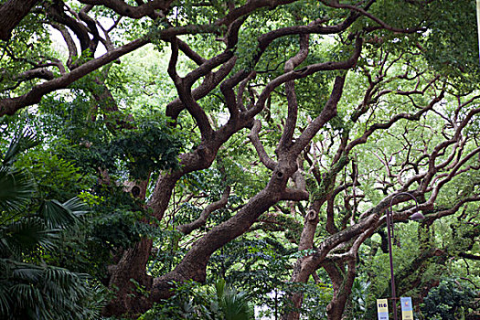 quay thử