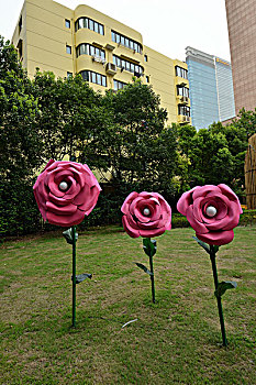 xsmn chu nhat du doan