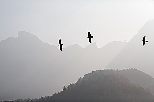 soi lô đề mb hôm nay