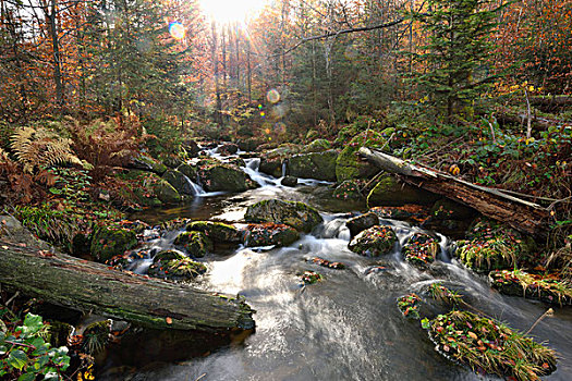 xsmb cau bach thu