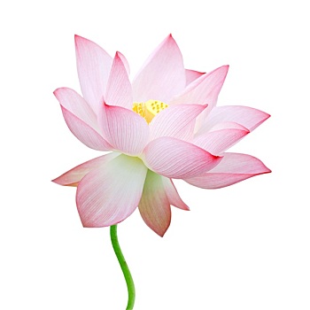 xổ số miền bắc nhiều ngày