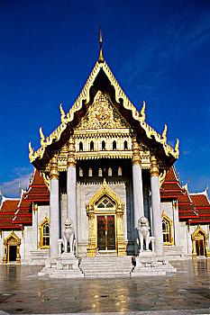 soi cau mb 24 gio