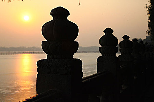 bạch thu lo