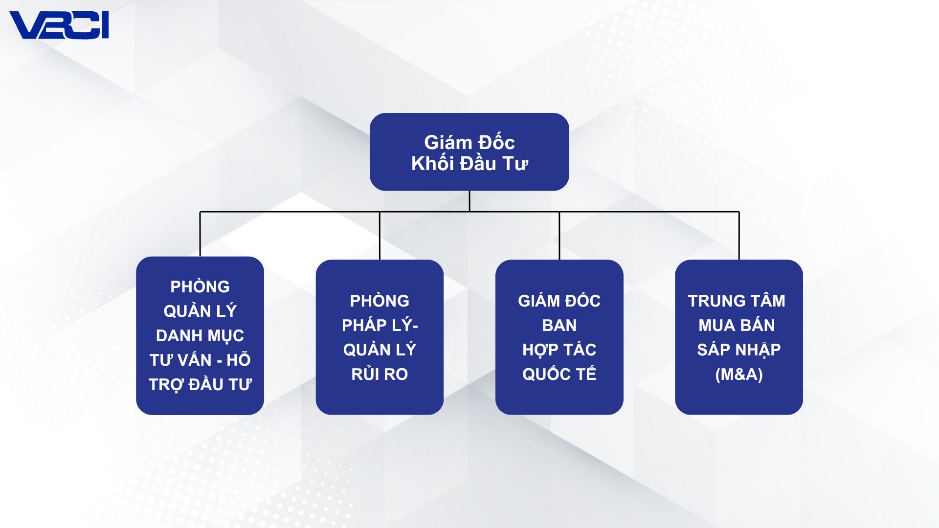 KHỐI ĐẦU TƯ VBCI VIỆT NAM